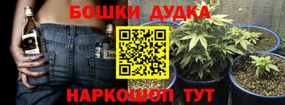 твердый Сланцы