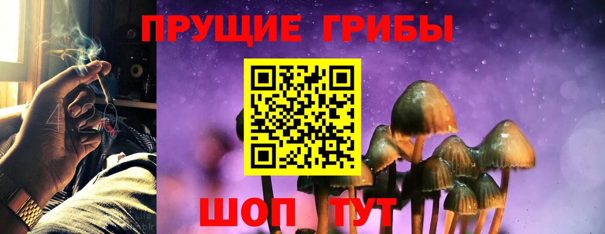 Псилоцибиновые грибы ЛСД Нягань