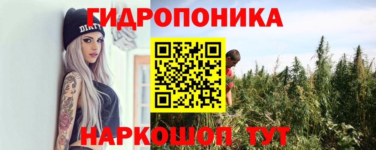 Канабис Ganja  Бошки марихуана тримм  Нягань  Марихуана OG Kush  Марихуана Amnesia  Вход с VPN 